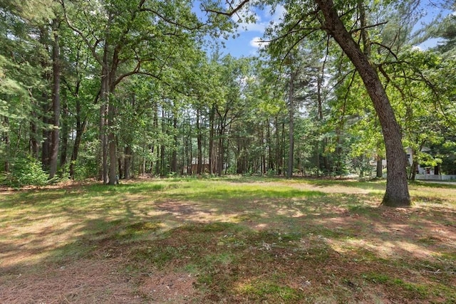 268 Pine St, Tewksbury, MA 01876 - view of yard with a forest view