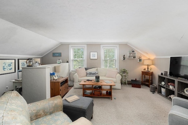 85 Everett St, Southbridge, MA 01550 - living room with lofted ceiling and carpet