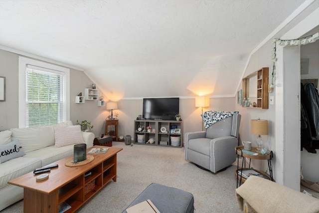 85 Everett St, Southbridge, MA 01550 - living area with lofted ceiling and carpet floors