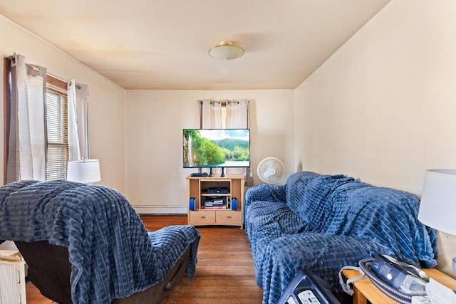 living room with a baseboard radiator and wood finished floors