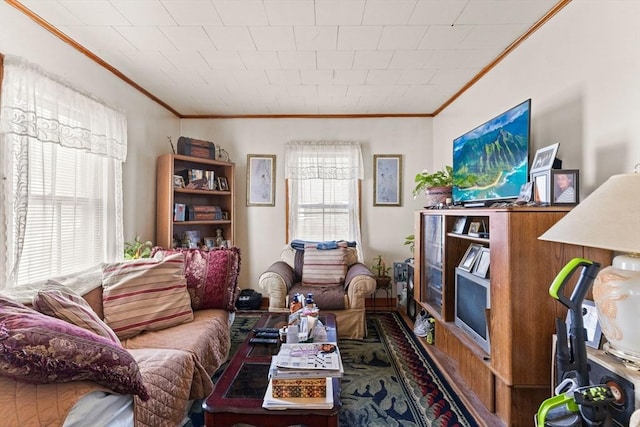 living room featuring crown molding and a healthy amount of sunlight