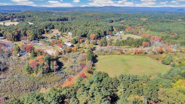 39 Cook Rd, Southampton, MA 01073 - view of property location with a heavily wooded area