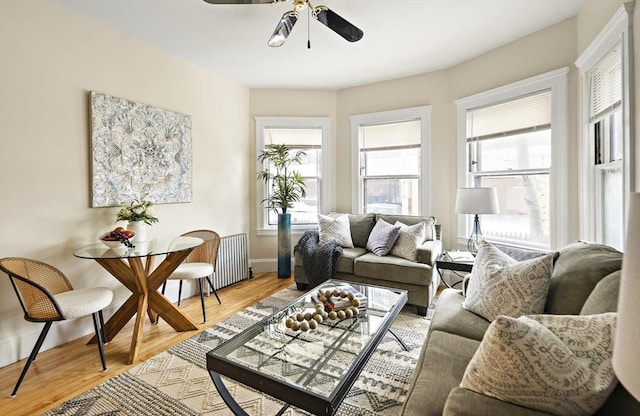 living room featuring radiator heating unit, ceiling fan, and light hardwood / wood-style flooring