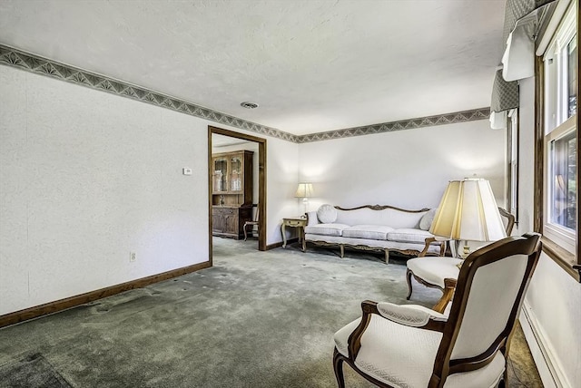 living area featuring baseboards, baseboard heating, and carpet flooring