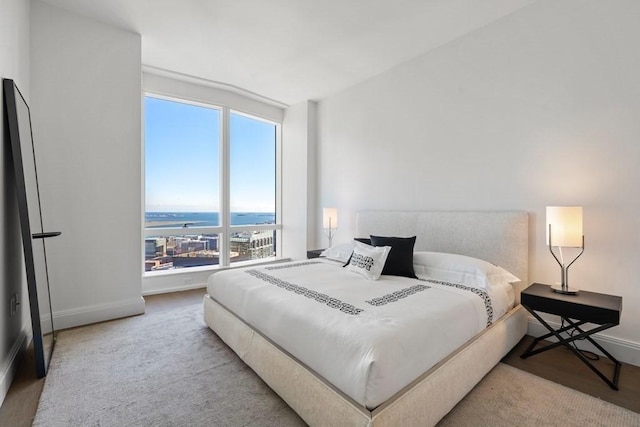 240 Devonshire St Unit 4210, Boston, MA 02110 - bedroom with baseboards and wood finished floors