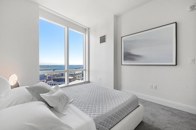 240 Devonshire St Unit 4210, Boston, MA 02110 - carpeted bedroom featuring baseboards and a water view
