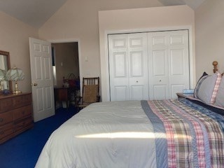 bedroom featuring a closet and lofted ceiling