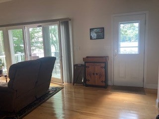 interior space featuring light hardwood / wood-style flooring and a wealth of natural light