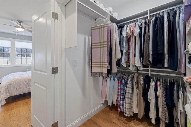 spacious closet featuring wood finished floors and ceiling fan