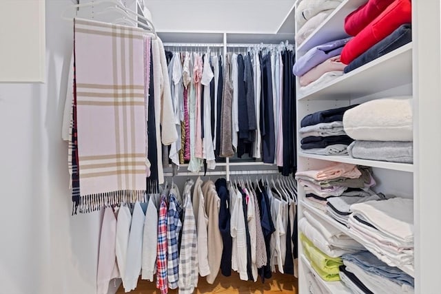 view of walk in closet