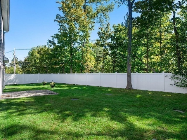 view of yard featuring a fenced backyard
