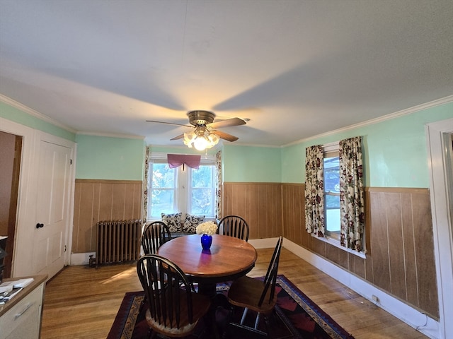 dining room featuring light wood-type flooring, crown molding, ceiling fan, and radiator heating unit