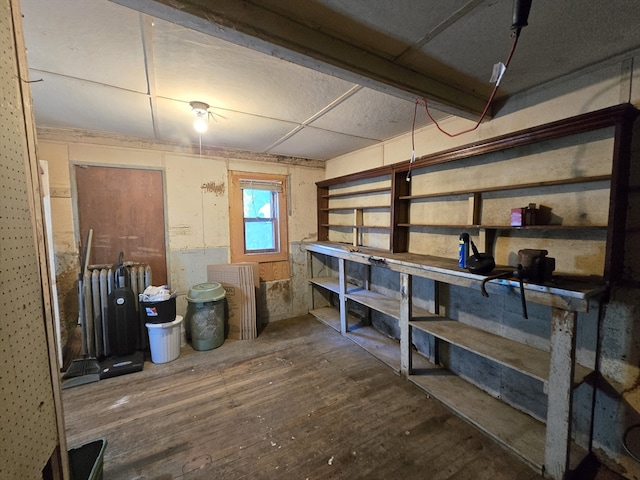 storage area featuring radiator heating unit