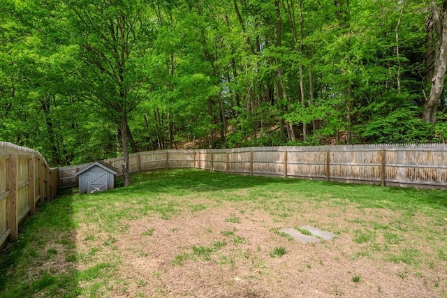 view of yard featuring a storage unit and an outbuilding