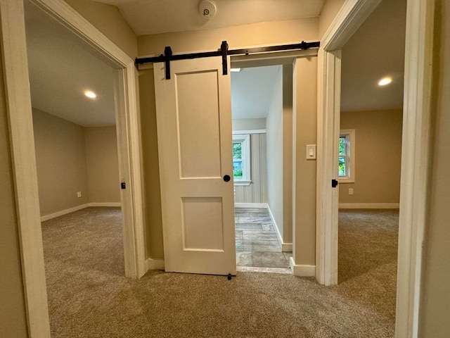 hall with a barn door, plenty of natural light, and carpet floors