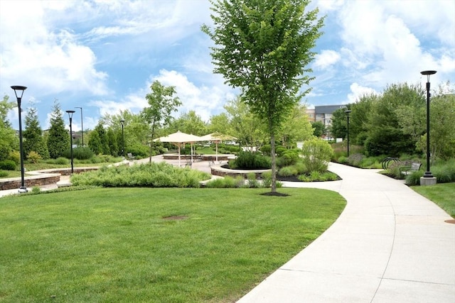 120 University Ave Unit 2202, Westwood, MA 02090 - view of home's community with a yard and a gazebo