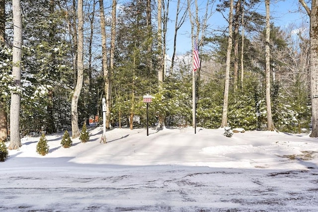 view of yard layered in snow