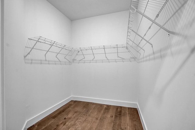 spacious closet with dark wood-style floors