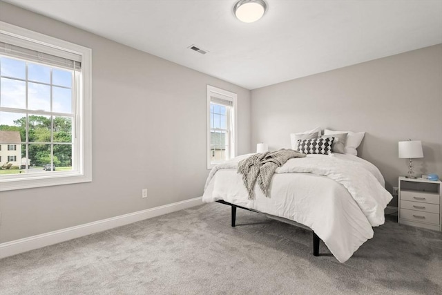 30 Oak Meadow Pl Unit 30, Bridgewater, MA 02324 - carpeted bedroom featuring baseboards