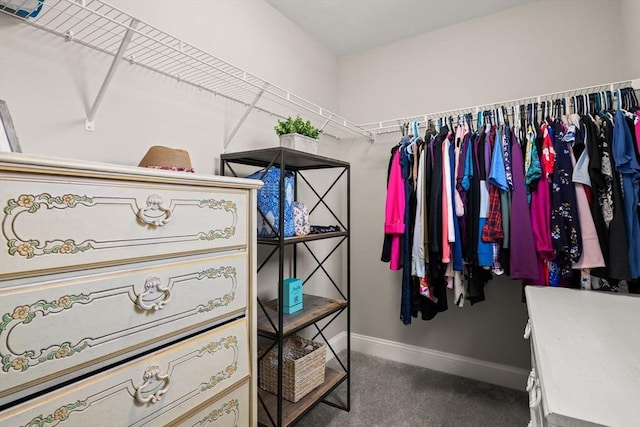 30 Oak Meadow Pl Unit 30, Bridgewater, MA 02324 - spacious closet with carpet flooring