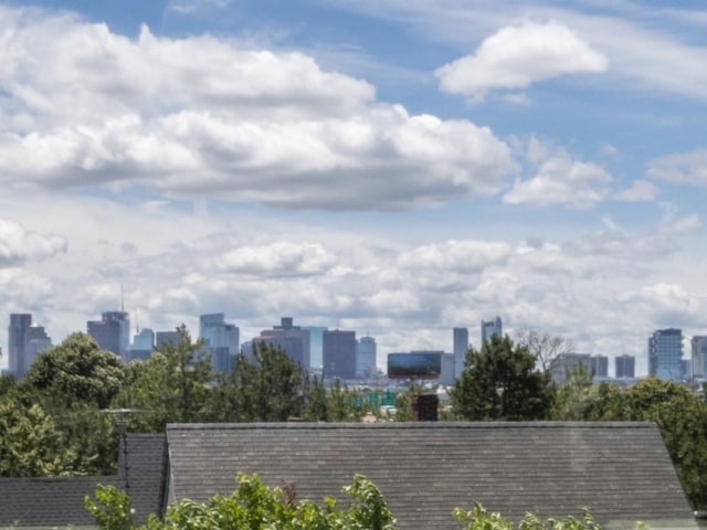 447 Frankfort St Unit 3, Boston, MA 02128 - view of city skyline