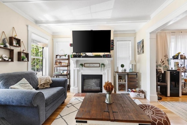 2218 Mystic Valley Pkwy, Medford, MA 02155 - living area with wood finished floors, a fireplace, and ornamental molding