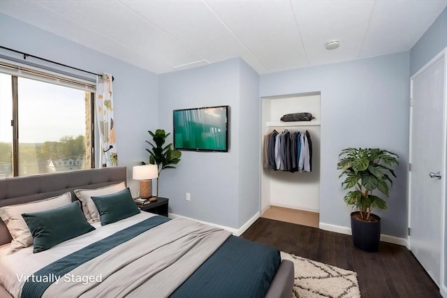 bedroom featuring a spacious closet, baseboards, a closet, and wood finished floors