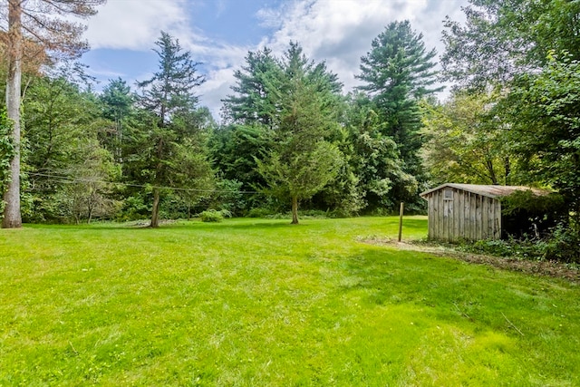 view of yard with a storage unit