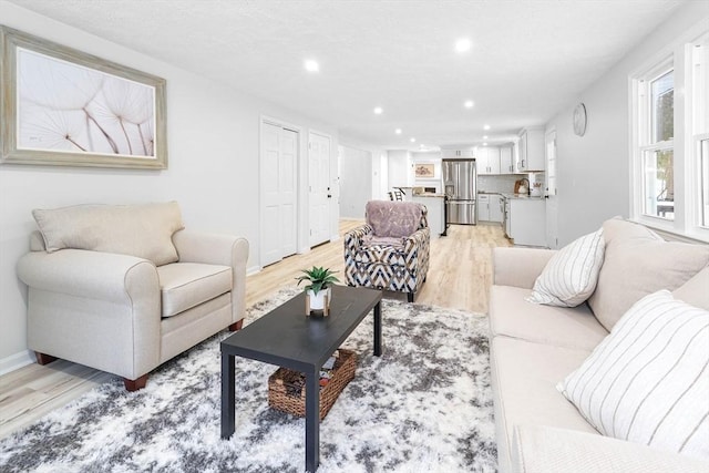 living room featuring light hardwood / wood-style flooring