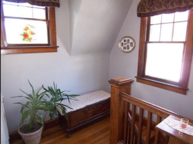 bedroom featuring hardwood / wood-style flooring and lofted ceiling