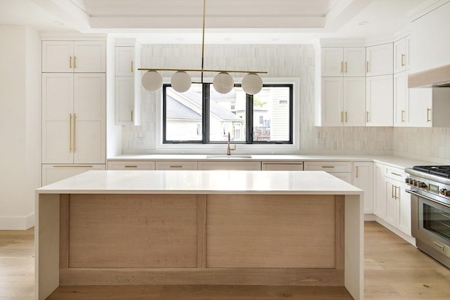230 Auburn St Unit 230, Newton, MA 02466 - kitchen featuring a sink, high end stainless steel range, light wood-type flooring, and white cabinets