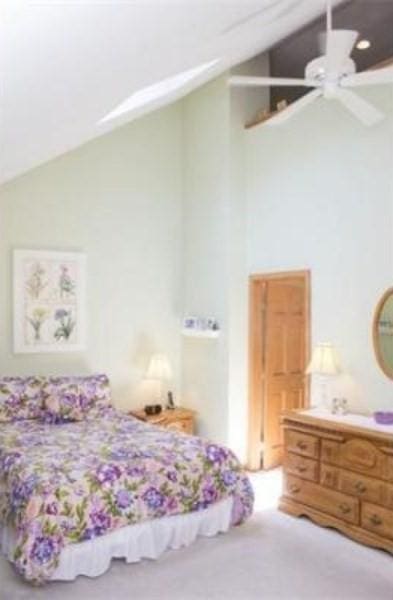 6 Tisdale Dr Unit 6, Dover, MA 02030 - carpeted bedroom featuring high vaulted ceiling