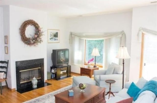 6 Tisdale Dr Unit 6, Dover, MA 02030 - living room with wood finished floors and a fireplace with flush hearth