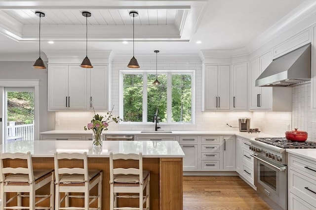 306 Laws Brook Rd, Concord, MA 01742 - kitchen featuring appliances with stainless steel finishes, range hood, light countertops, a raised ceiling, and a sink