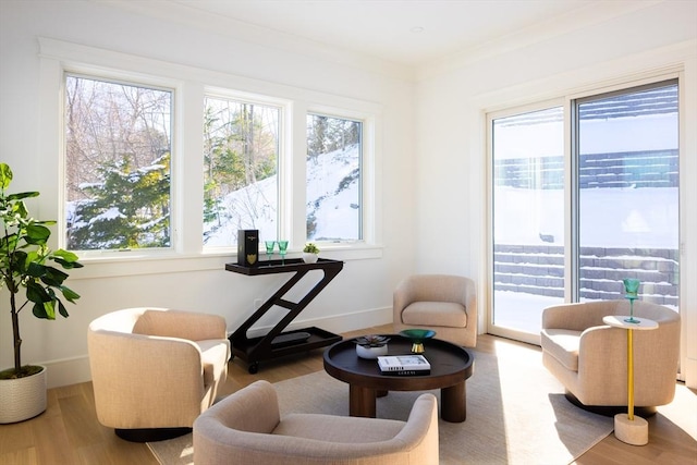 living area with a wealth of natural light, light hardwood / wood-style flooring, and crown molding