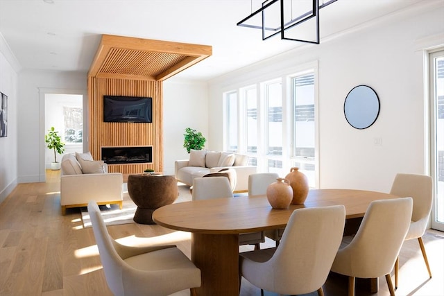 dining room with a fireplace, plenty of natural light, crown molding, and light wood-type flooring