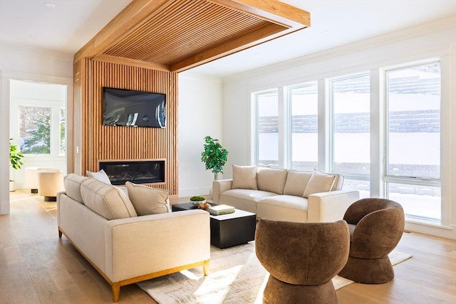 living room with light wood-type flooring, a healthy amount of sunlight, and ornamental molding