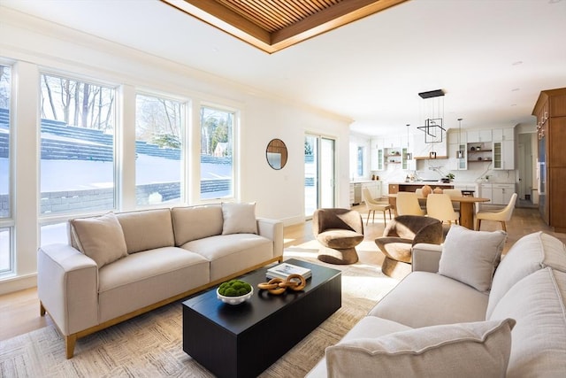 living room with crown molding and a healthy amount of sunlight