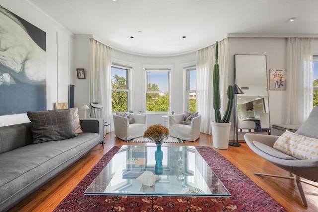 416 Commonwealth Ave Unit 504, Boston, MA 02215 - living area with wood finished floors and crown molding