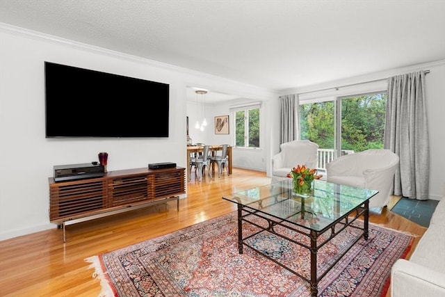 living room with crown molding, wood finished floors, and baseboards