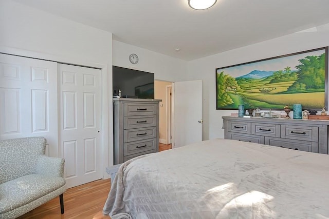 48 Tappan St, Everett, MA 02149 - bedroom featuring light wood-style flooring and a closet