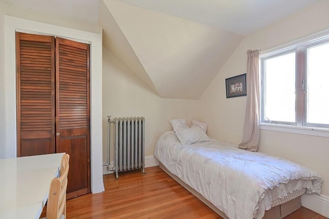 48 Tappan St, Everett, MA 02149 - bedroom with radiator, light wood-type flooring, a closet, lofted ceiling, and baseboards