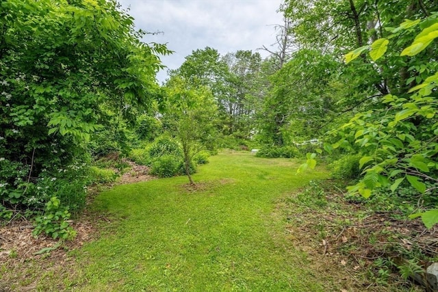 353 Front St, Winchendon, MA 01475 - view of green lawn