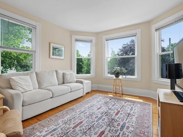 110 Woerd Ave, Waltham, MA 02453 - living room with light wood-type flooring and baseboards