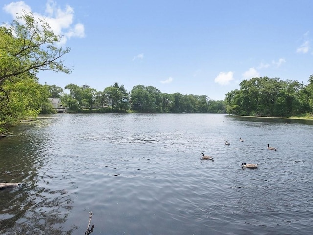 110 Woerd Ave, Waltham, MA 02453 - water view