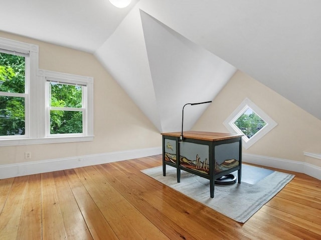 110 Woerd Ave, Waltham, MA 02453 - bonus room featuring wood-type flooring and lofted ceiling