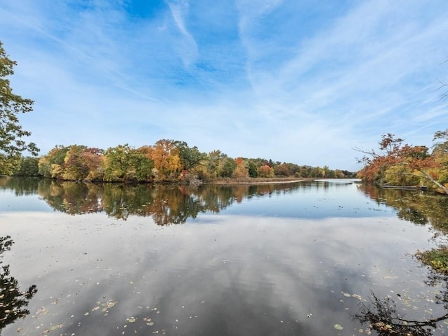 110 Woerd Ave, Waltham, MA 02453 - water view with a heavily wooded area