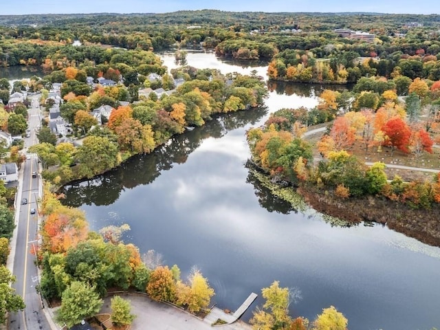110 Woerd Ave, Waltham, MA 02453 - aerial view of a nearby body of water and a heavily wooded area