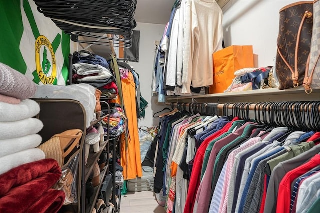 view of walk in closet