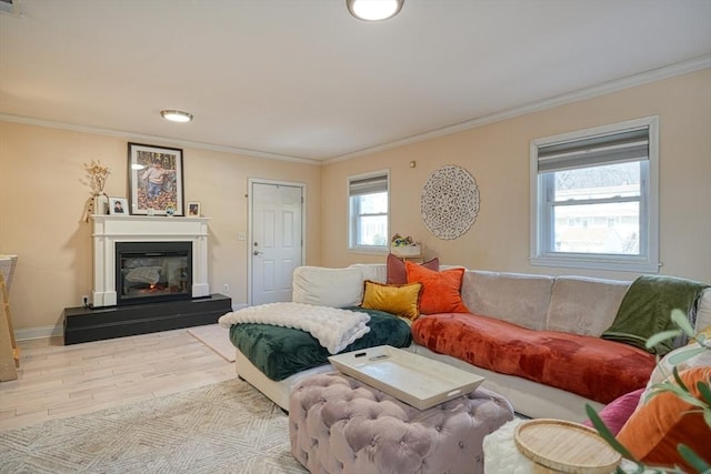 living room featuring ornamental molding and light wood-type flooring